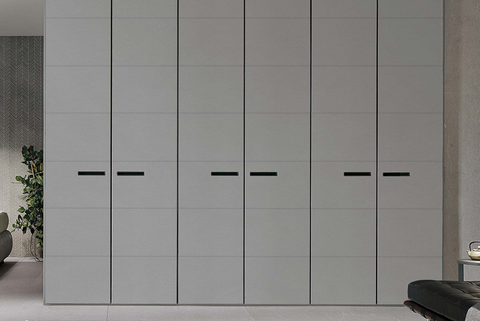 Dress Hinged door wardrobe