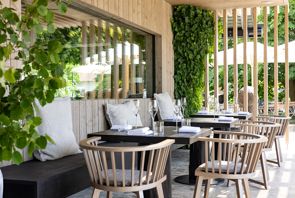 Gray 24 Dining Chair thumb