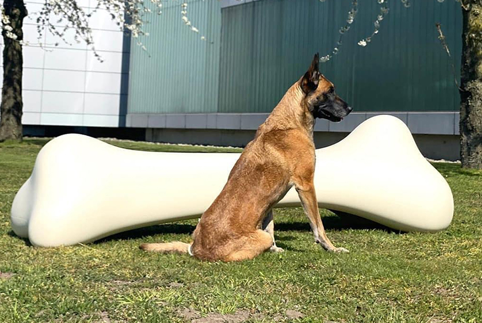 Bonos Bench thumbnail