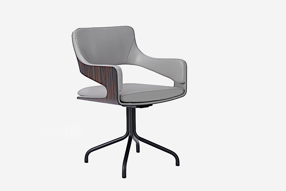 Silhoutte Dining Chair