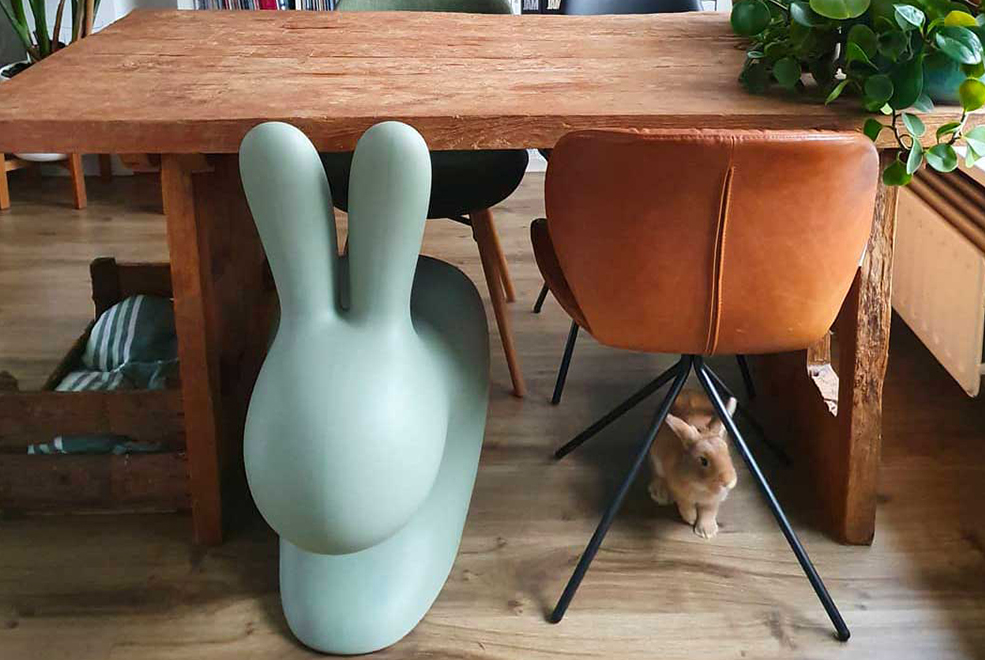 Rabbit Chair gallery